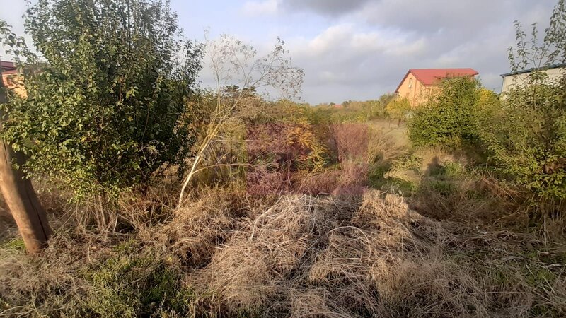 Teren foarte bun in 1 Decembrie Ilfov